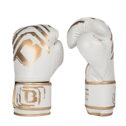 Booster Kickboks Set Youth Elite V2 Wit -Fightstyle booster youth v2 handschoen wit voor en zijkant