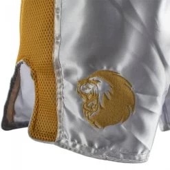 Super Pro Kickboks Broekje Brave Goud -Fightstyle super pro kickboksbroekjes brave goud